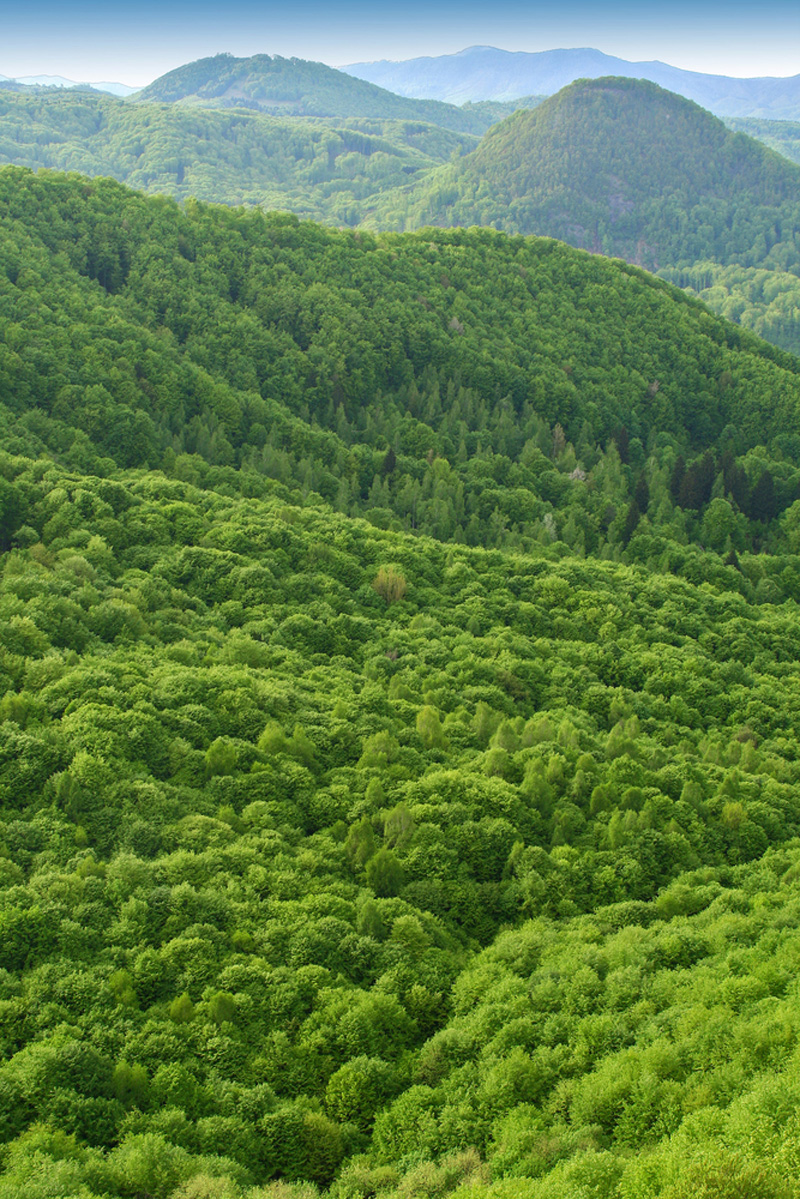 New Earth Explorer Satellite to Map Global Forests